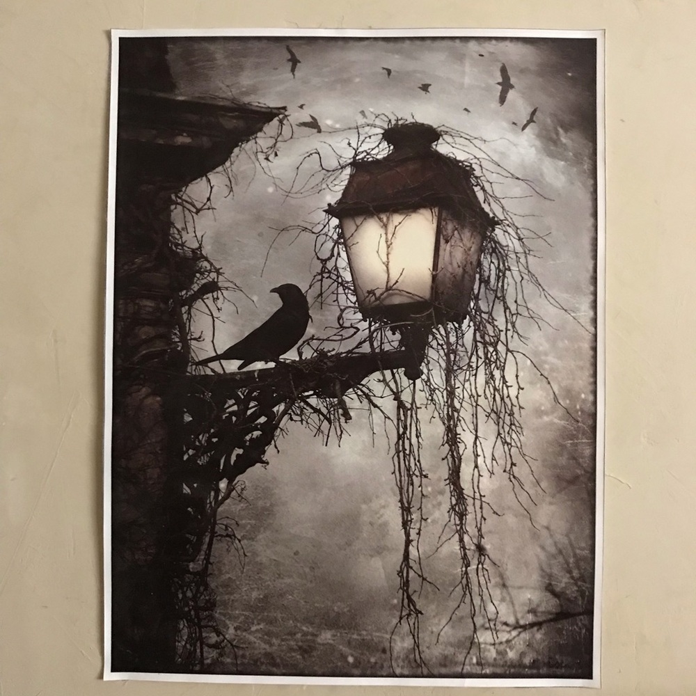 Crow Canvas Poster